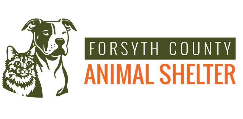 Forsyth County Animal Shelter has no adoption fees for June