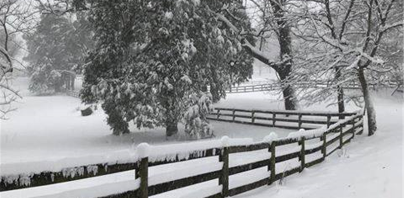 Most county parks are now open 